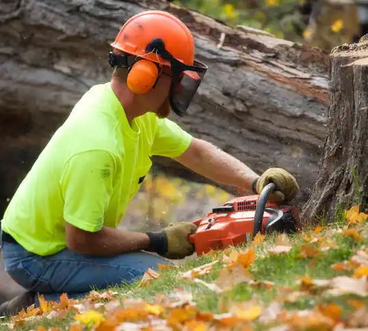 tree services Egg Harbor City